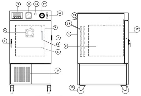 bod diagram